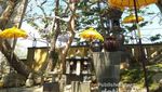 Cuma Punya 3 Jam di Bali, Ini Pilihan Destinasinya
