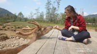 Memberi makan rusa di Rancaupas