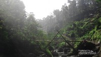 Jembatan bambu di atas aliran Curug Bajing