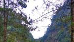 Curug Bajing yang Segar dari Pekalongan