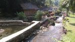 Curug Cibarjan, Taman Surga yang Tersembunyi di Bogor