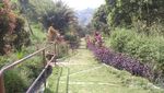 Curug Cibarjan, Taman Surga yang Tersembunyi di Bogor