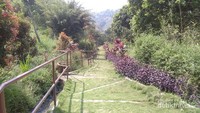 Anak tangga untuk menuju ke lokasi curug