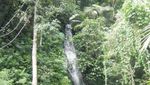 Curug Cibogo & Ciismun, 2 Air Terjun Cantik di Cibodas