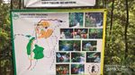Curug Cibulao, Oase Kesejukan di Kawasan Gunung Paseban Bogor