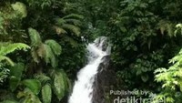 Sekeliling yang hijau