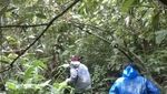 Curug Cikaracak, Tempat Asyik Menguji Adrenalin di Bogor