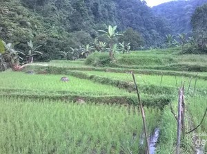 Curug Cikaracak, Tempat Asyik Menguji Adrenalin di Bogor