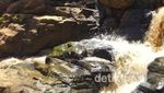 Curug Cimarinjung, Serasa Kembali ke Zaman Purba