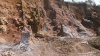 Brown Canyon rasa bogor