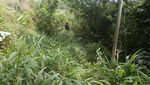 Curug Ciorok, yang Kecil & Segar Saat Mudik ke Bogor
