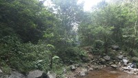 kolam alami curug ciorok