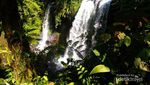 Curug Jenggala: Wisata Air Terjun yang Instagrammable