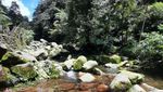 Curug Lembah Tepus yang Eksotis di Bogor