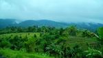 Curug Nangka dan Curug Luhur, Pesona Alami dari Bogor