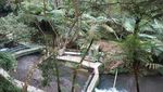 Curug Putri di Kuningan, Tempat Mandi Para Dewi Kahyangan