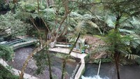 Kolam air terjun Curug Putri, Kuningan