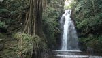 Curug Putri di Kuningan, Tempat Mandi Para Dewi Kahyangan