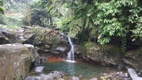 Kolam Alami