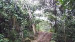 Curug Seribu di Bogor, Kental dengan Nuansa Mistis