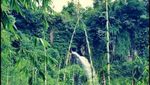 Curug Silawe, Air Terjun Tersembunyi nan Cantik di Magelang