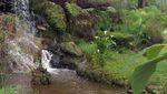 Curug Tilu yang Tersembunyi di Perkebunan Teh Bandung