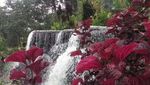 Curug Tilu yang Tersembunyi di Perkebunan Teh Bandung