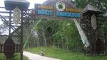 Dag Dig Dug! Menyusuri Bukit Bangkirai dari Ketinggian 30 M