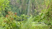 Air Terjun Sirawe dari kejauhan