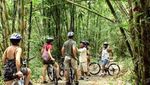 Damainya Bersepeda Mengelilingi Ubud