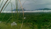 Pemandangan di Bukit Kasih (Bunga S Putri/dtraveler)