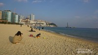 Pantai Haeundae, Busan, Korea Selatan, menjadi tempat favorit untuk menghabiskan waktu dengan keluarga terutama dengan sang buah hati.