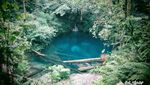 Danau Ajaib Sebening Kaca & Kelabang Raksasa di Jambi