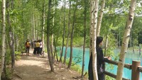 Area sepanjang pinggir Blue Pond ramai oleh traveler yang menikmati keindahannya