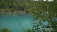 Telaga Blue Pond yang teduh dan tenang airnya