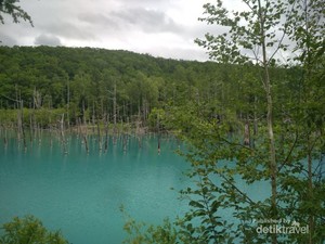 Danau Biru Jepang yang Memukau Tanpa Photoshop