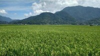 Indahnya pemandangan menuju Tarusan kamang, kombinasi hijau, biru dan putih.