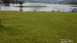Danau di Sumbar yang Bisa Berubah Jadi Padang Rumput