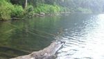 Danau Kaldera di Jambi Ini Tertinggi di Asia Tenggara