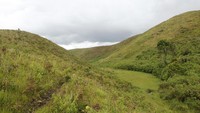 Bukit Cambai