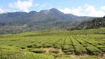 Danau Kembar dan 4 Destinasi Keren di Solok, Sumbar