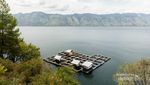 Danau Laut Air Tawar Takengon, Ini Danau Apa Laut?