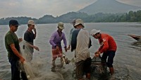 Nelayan menjaring di Danau Ranau