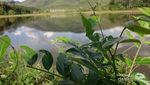 Danau Sari Embun, Kembaran Ranu Kumbolo di Kalimantan Selatan