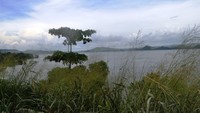 keindahan yang bisa anda nikmati bersama segelas kopi
