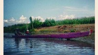 Sampan di Danau Tempe