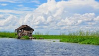 Rumah di atas danau tempe (Sumber: nelfinberg.com)