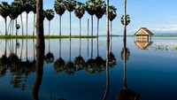 Danau Tempe (Sumber: beingindonesian.tumblr.com)