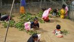 Danau Terbesar Kedua di Kalimantan Jadi Rumah Pesut Mahakam