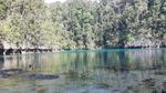 Danau Tobelo, Keindahan Tersembunyi di Pulau Labengki